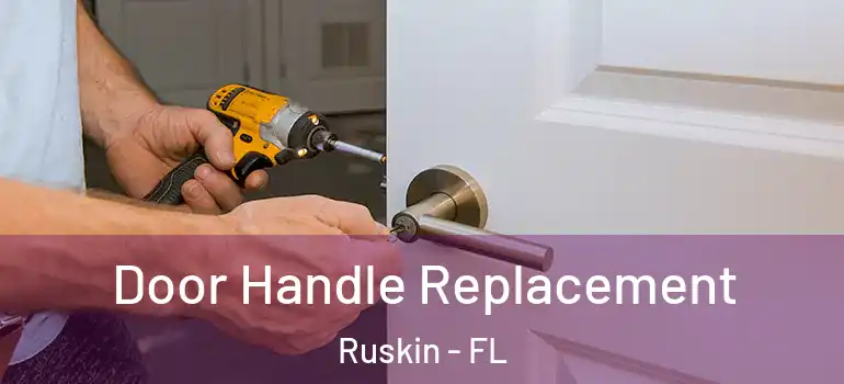  Door Handle Replacement Ruskin - FL