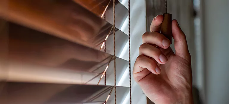 Double Roller Blinds in Ruskin, FL