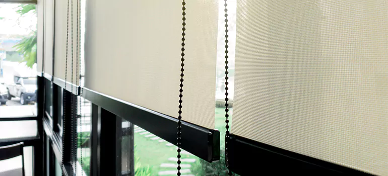 Blackout Window Shades in Ruskin, FL