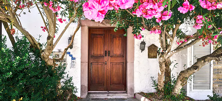 Traditional 4 Panel Internal Doors in Ruskin, FL