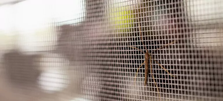 Repair Mosquito Mesh For Windows in Ruskin, FL