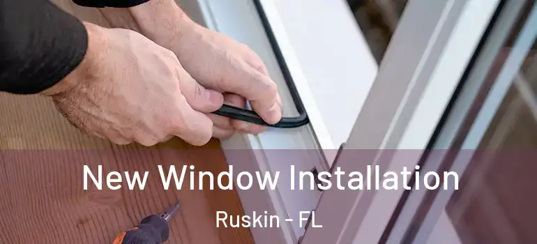  New Window Installation Ruskin - FL