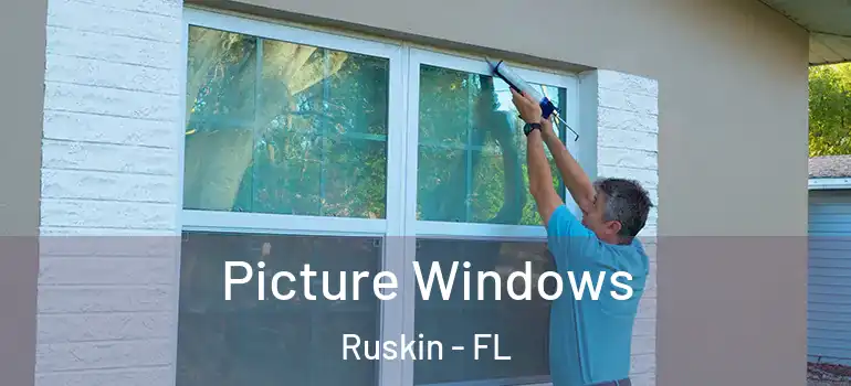  Picture Windows Ruskin - FL