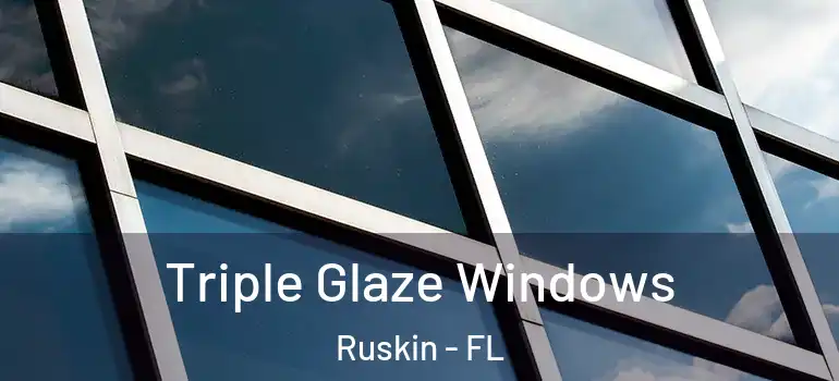  Triple Glaze Windows Ruskin - FL