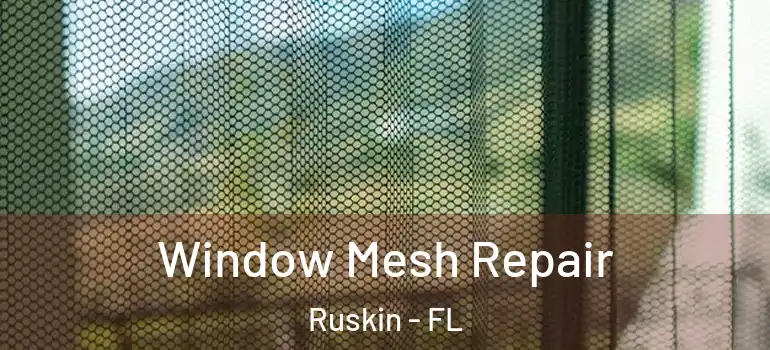  Window Mesh Repair Ruskin - FL