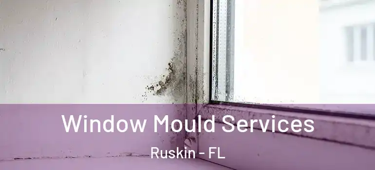  Window Mould Services Ruskin - FL